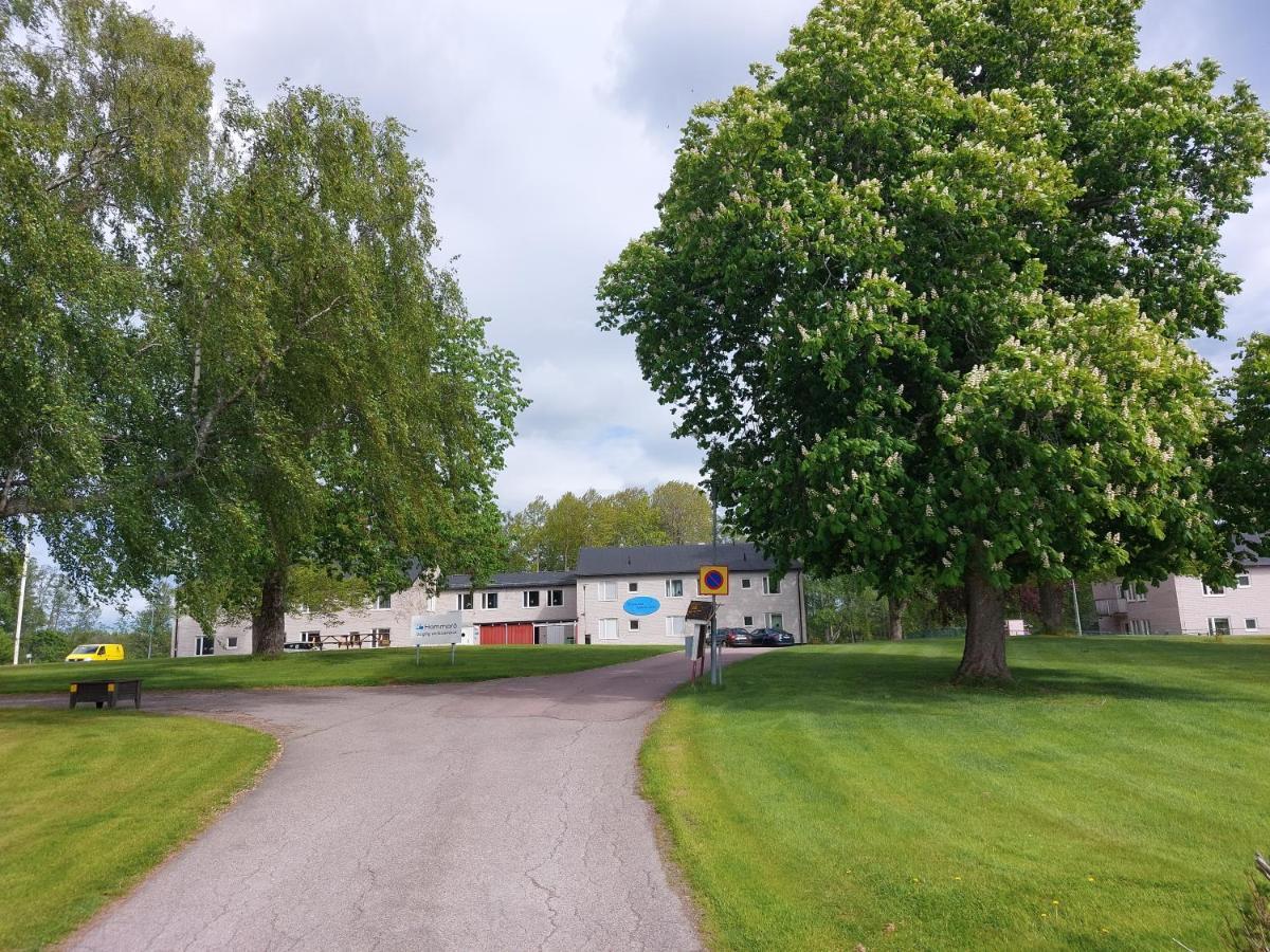 Hammaroe Vandrarhem Hammarö Exterior foto